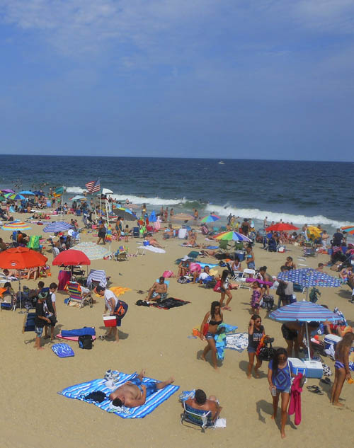 long branch nj website design and marketing